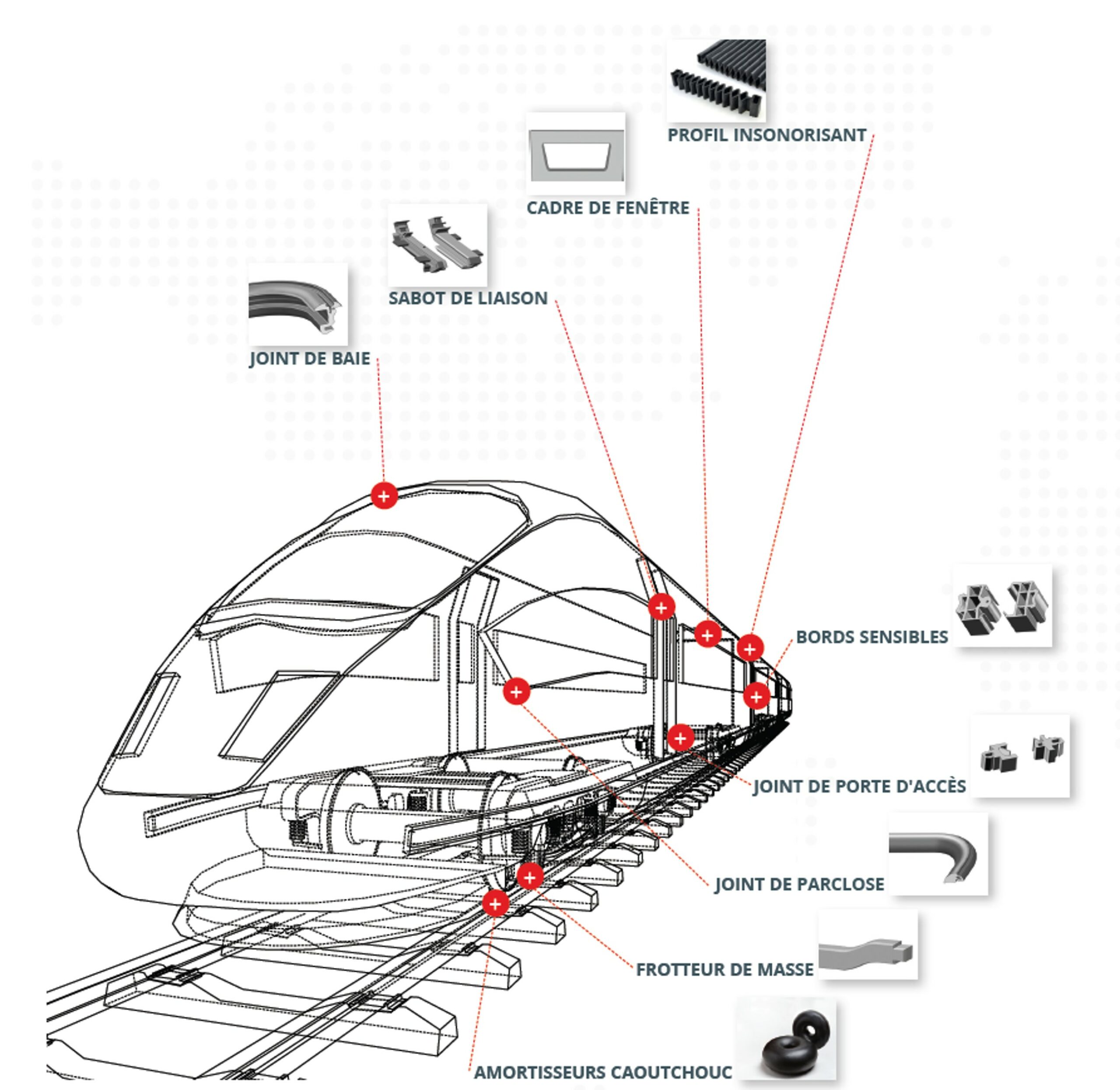 Areas of expertise of the BORFLEX Group