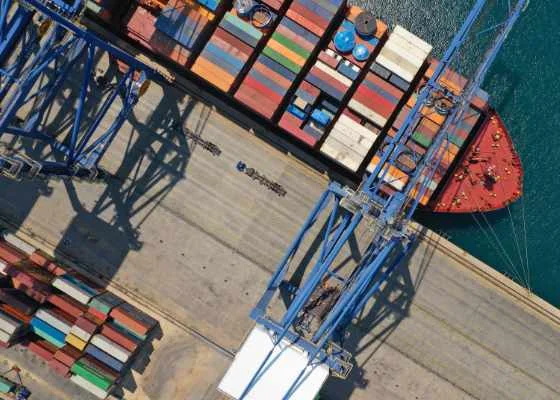 Development of marinas, docks and unloading quays