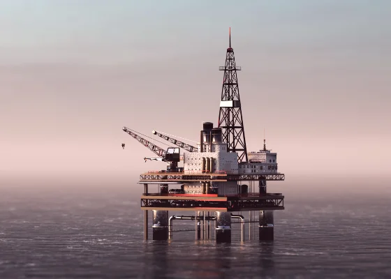 Manufacturer of elastomer components for the petrochemical industry