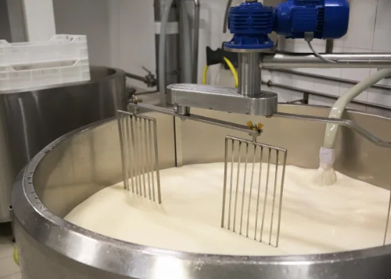 Tank and hatch seals for the cheese industry