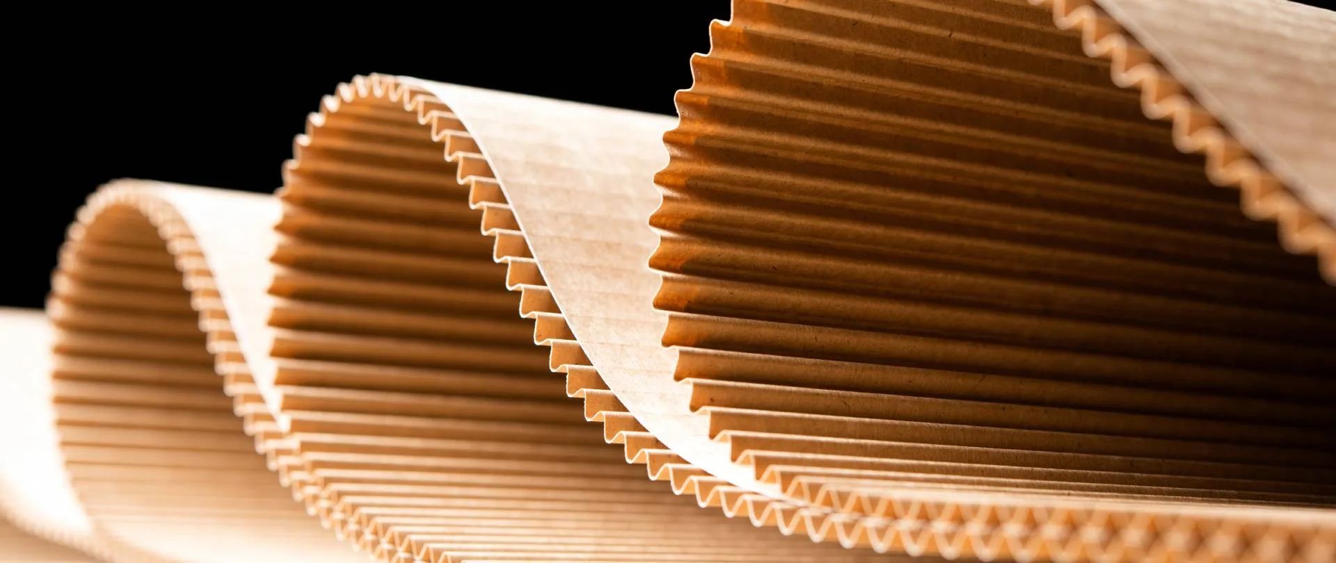 The cardboard and packaging industry