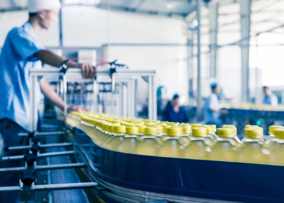 Flat sealing gasket for a packaging line