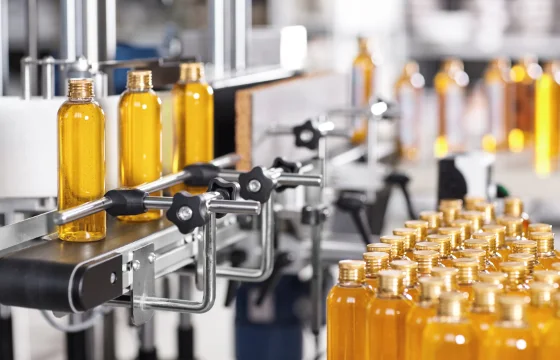 Flat sealing gasket for a bottling line