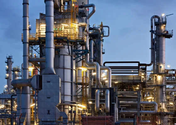 Manufacturer of elastomer components for the petrochemical industry