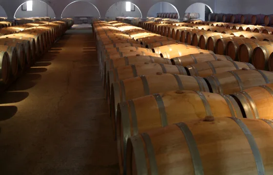 elastomer solutions for the wine industry