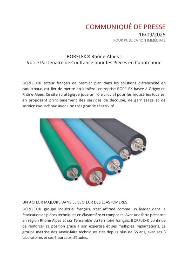 BORFLEX® Rhône-Alpes : Votre Partenaire de Confiance pour les Pièces en Caoutchouc